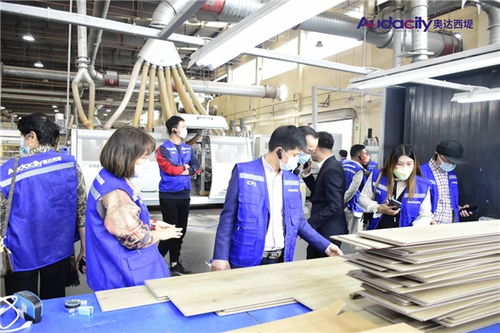 奧達(dá)西堤石晶地板招商及培訓(xùn)會盛大啟幕 攜手共創(chuàng)健康人居新未來