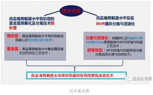 高鹽難降解廢水趨零排放技術(shù)實(shí)現(xiàn)重大突破與規(guī)模化應(yīng)用